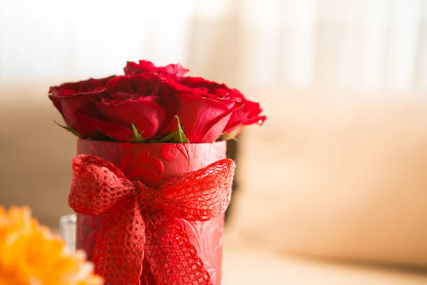 A big beautiful red rose in her hands.