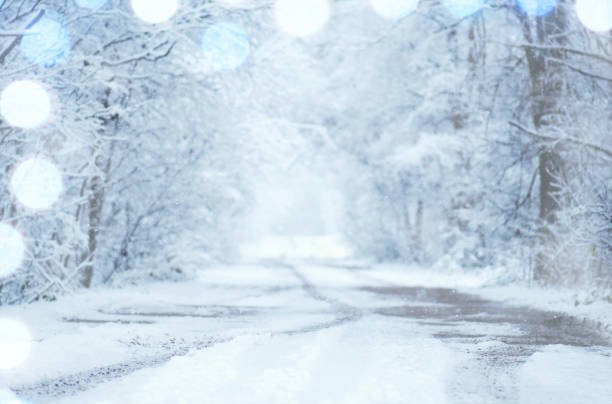 istock Frosty winter landscape in snowy forest 939498968