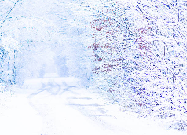 istock Winter snow road and forest landscape 939499056