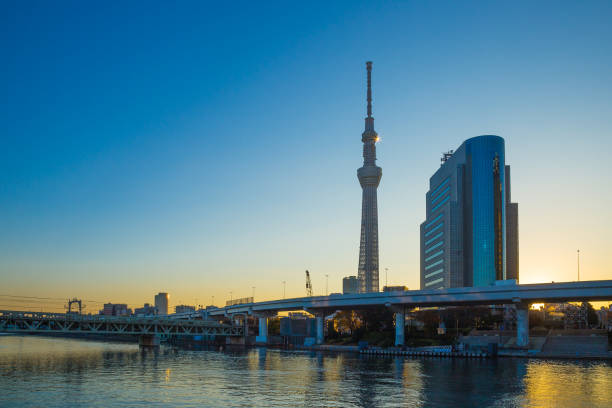 istock Tokyo sky tree in morning. 939502246