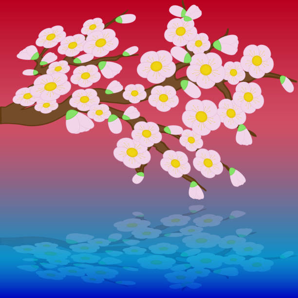 illustrazioni stock, clip art, cartoni animati e icone di tendenza di carta con fiori di ciliegio stilizzati. - abstract illustration and painting backdrop blossom