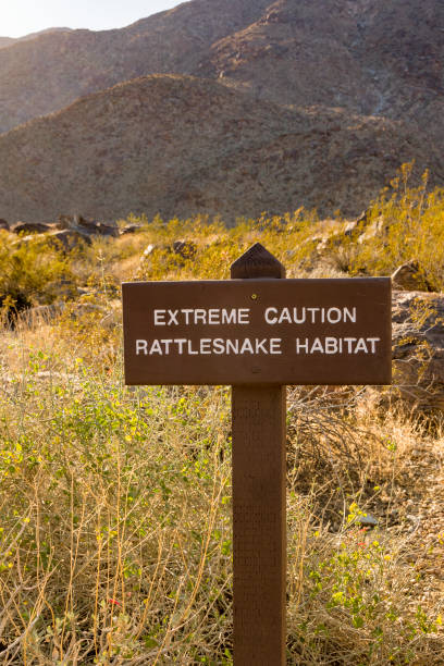 istock Rattlesnake Habitat Sign 939506192