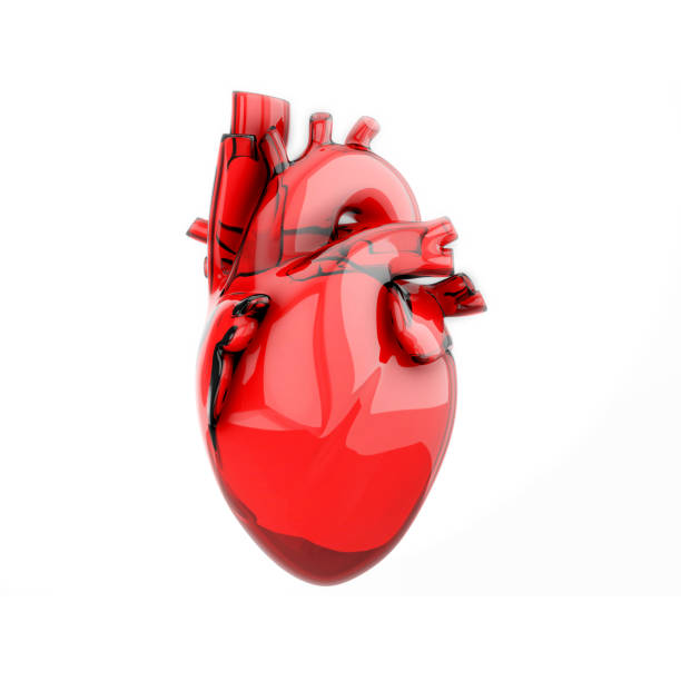 human heart - glass heart 뉴스 사진 이미지