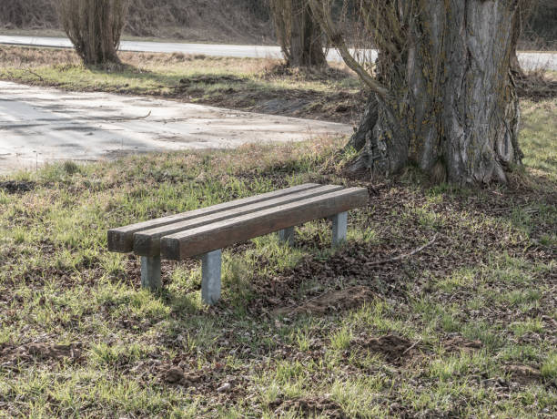 istock Wooden bench on the meadow 939514078