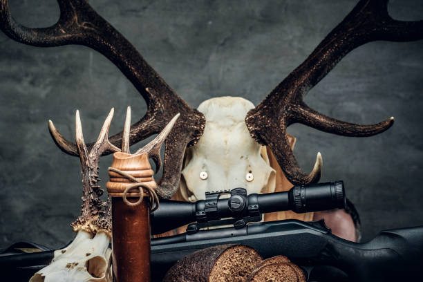 istock Retro hunting ammunition of rifle and binoculars. 939514666