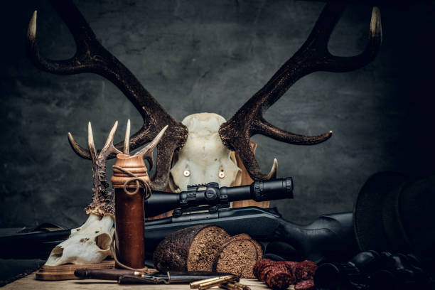 istock Retro hunting ammunition of rifle and binoculars. 939518084