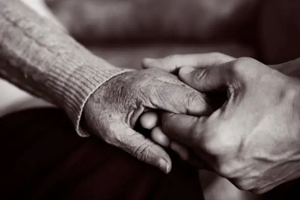 Photo of young man holding the hand of an old woman