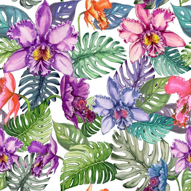 Beautiful bright orchid flowers and monstera leaves on white background. Seamless tropical floral pattern. Watercolor painting. Hand drawn illustration. Beautiful bright orchid flowers and monstera leaves on white background. Seamless tropical floral pattern. Watercolor painting. Hand drawn illustration. Fabric, wallpaper, wrapping paper design. cattleya trianae stock illustrations
