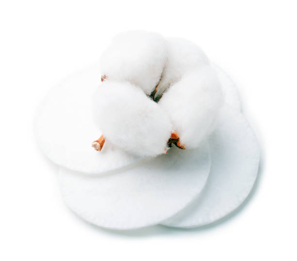 istock Cotton fluffy pads with plant flower isolated on white background 939542004