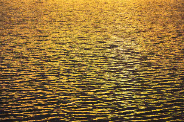 istock Golden sea wave at sunrise. 939543738
