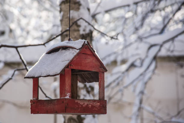 istock Winter old bird feeder in the forest with snow 939553526