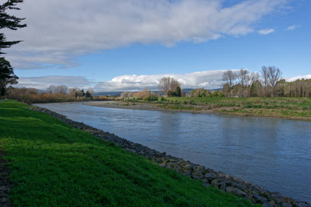 Banks of the Manawatu River in Palmerston North New Zealand Banks of the Manawatu River in Palmerston North New Zealand Palmerston North stock pictures, royalty-free photos & images