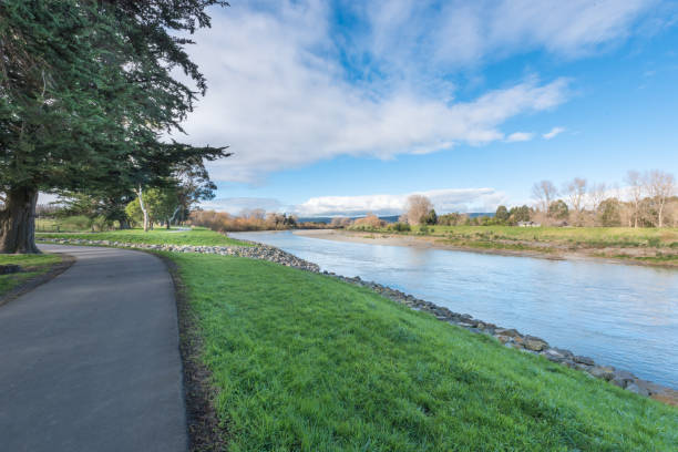 Banks of the Manawatu River in Palmerston North New Zealand Banks of the Manawatu River in Palmerston North New Zealand manawatu river stock pictures, royalty-free photos & images