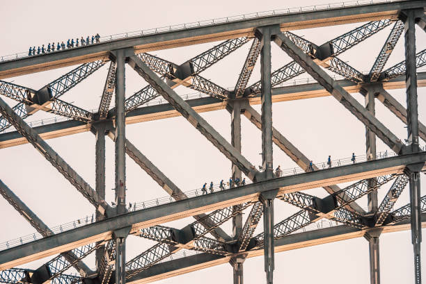 Tourists climb on two layers of the Sydney Harbour Bridge Tourists climb on two layers of the Sydney Harbour Bridge. The sun is catching the bottom of the metal bridge. sydney harbour bridge stock pictures, royalty-free photos & images