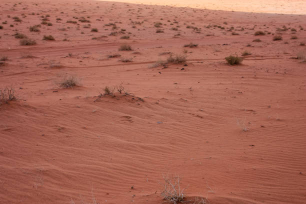 Textured sand lines in the desert.