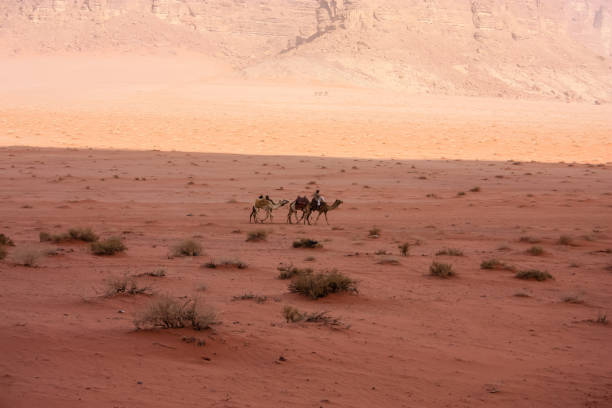 istock colors of Jordan 939561998