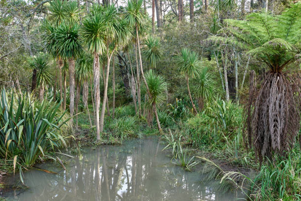 istock Swampy area with lush foliage 939566794