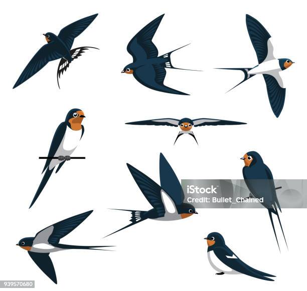 Barn Swallow Flying Cartoon Vector Illustration Stock Illustration - Download Image Now - Bird, Swallow - Bird, Flying