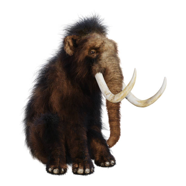 istock 3D illustration woolly mammoth on white 939577908