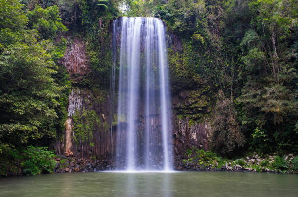 istock Millaa Millaa Falls, Queensland, Australia 939579730