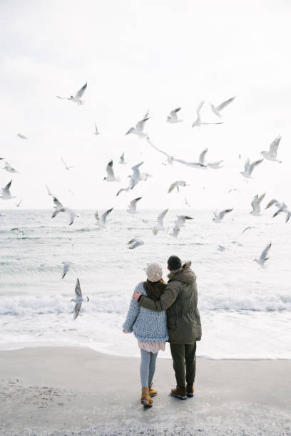 istock back view of young couple hugging and looking at seagulls 939584494