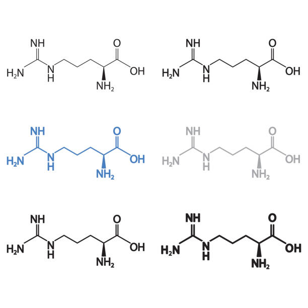 arginina, l-arginina molekularnej strukturalnej formuły chemicznej zestaw. ikona wektora. - molecule amino acid arginine molecular structure stock illustrations