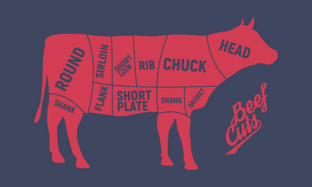牛肉のカット。牛の肉の切り身。ビンテージ ポスター。レトロな図。ベクトル図 - chuck steak点のイラスト素材／クリップアート素材／マンガ素材／アイコン素材