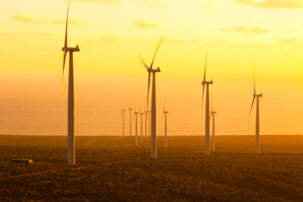 istock Windmills at wind farm in Coquimbo Region 939590044
