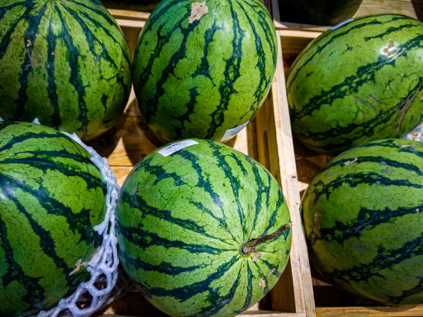 istock Watermelon in wooden box. 939594562
