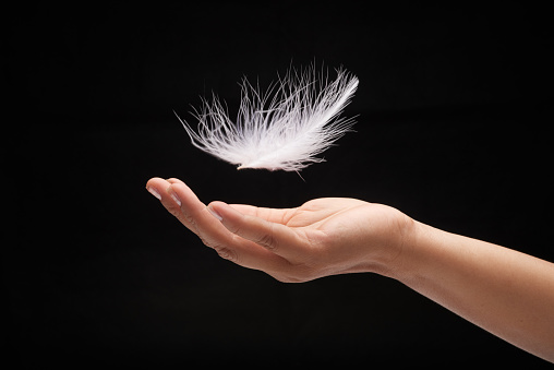 Close-up shot of white feather falling to female hand, isolated on black background