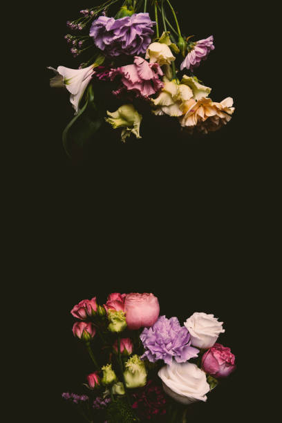 istock composition of beautiful tender fresh blooming flowers isolated on black 939597548