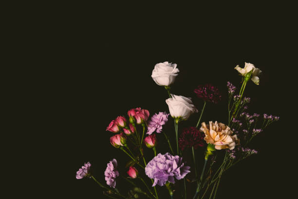 istock beautiful various tender blooming flowers isolated on black 939601546