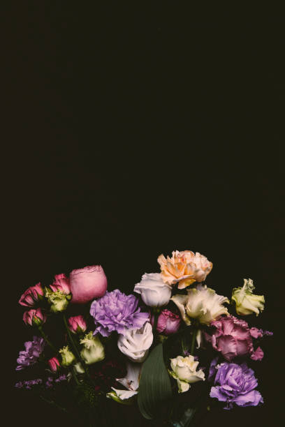 istock beautiful tender fresh blooming flowers isolated on black 939601956
