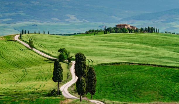 istock Green italian landscape shot in spring 939602118