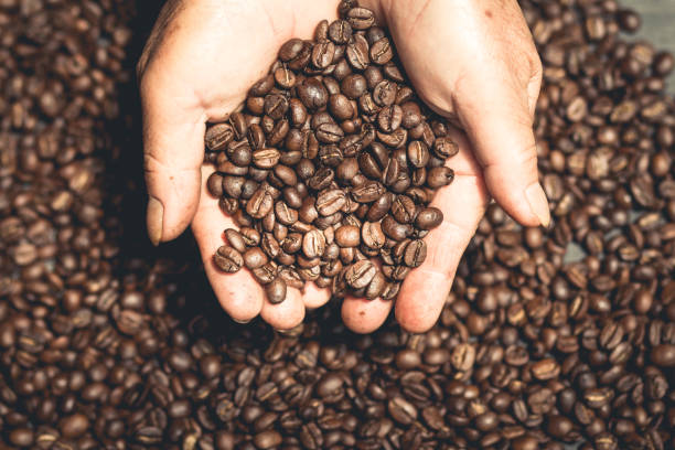istock Coffee Beans in hand coffee blackground 939605146