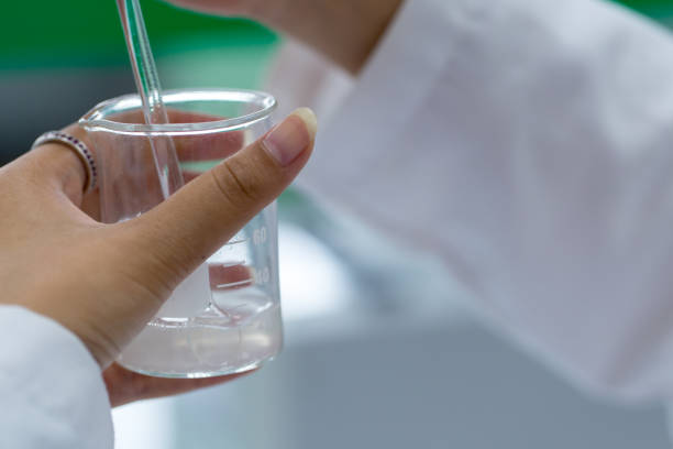 istock Biodiesel production is the process of producing the biofuel, biodiesel, in laboratory. 939609342