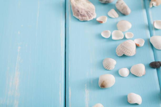 istock Seashells on blue wood, sea vacation background 939616748