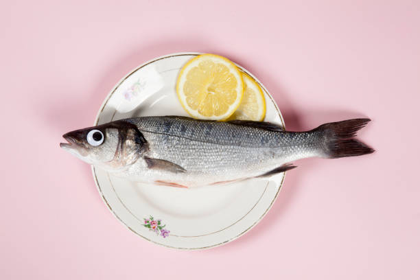 istock lemon fish pink plate eye doll 939626018