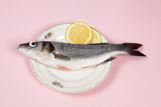 istock lemon fish pink plate eye doll 939626034