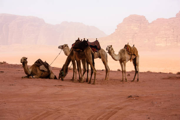 istock Colors of Jordan 939626640