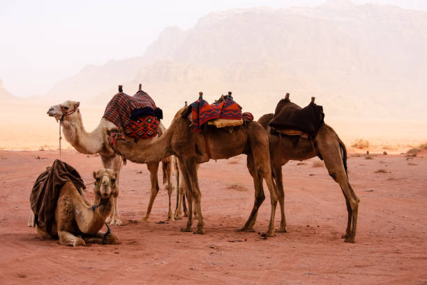istock Colors of Jordan 939626714