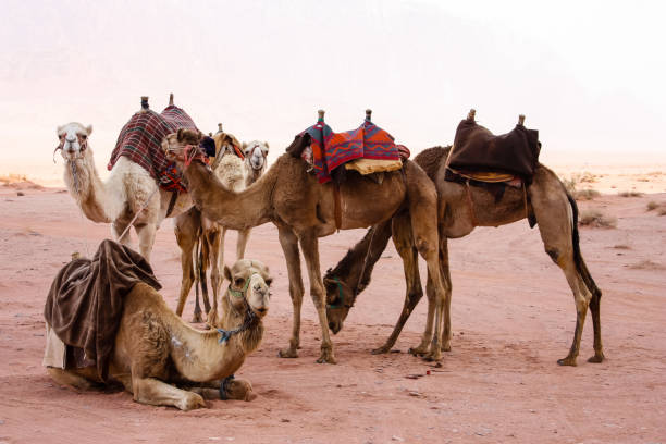 istock Colors of Jordan 939626752
