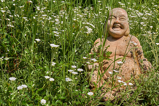 Buddha statue in the grass
