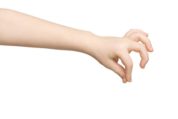 istock Kid hand making grab some items isolated on white 939627804