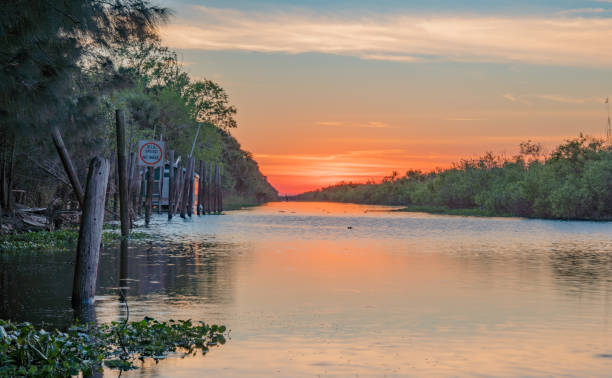 coucher de soleil sur le fleuve st johns dans le comté de brevard en floride - brevard county photos et images de collection