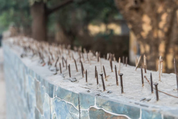sharp nails of a Suite in a concrete fence for protection of the territory from illegal penetration of animals and thieves. system security and protection of private land against illegal entry
