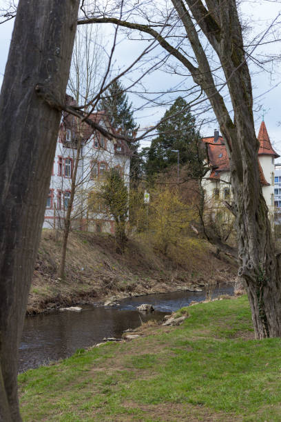 istock trees in city park at eastern springtime with symbol 939643200