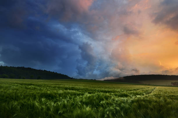 istock Fresh lush green meadow against cloudy dramatic sky on a summer evening with a dramatic sunset sky 939643930
