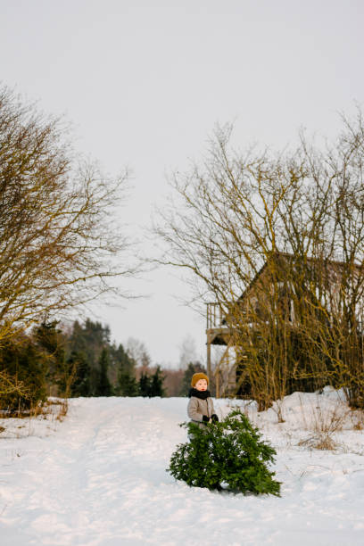 istock Boy with christmas presents on a sled 939644136