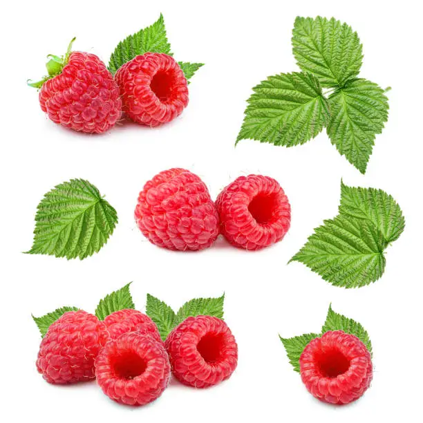 Set of raspberry with leaves isolated on white background as package design. Collection.